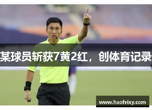 某球员斩获7黄2红，创体育记录